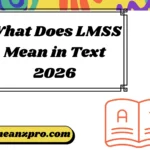 What Does LMSS Mean in Text