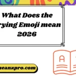 What Does the Crying Emoji Mean