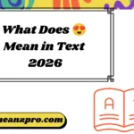 What Does 😍 Mean in Text