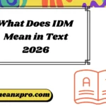 What Does IDM Mean in Text